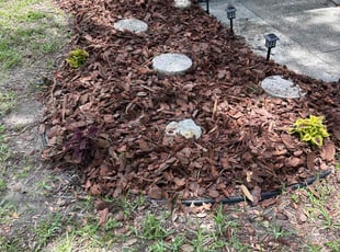 Landscaping by Carlton Calloway for Andy L. in Valrico, FL