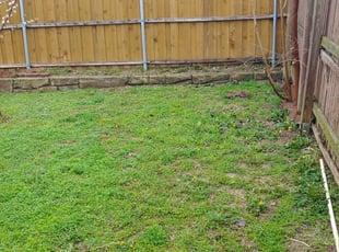 Cleanups by Kyle Archibald for Adrienne H. in Garland, TX