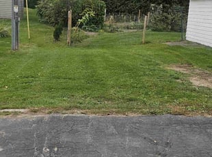 Jairus M.'s Lawn Care service result