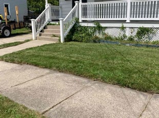 Virgil A.'s Lawn Care service result