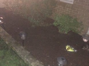 Mulching by Jamar Bennett for William B. in Alexandria, VA