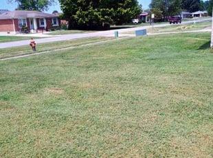 Nicholas S.'s Lawn Care service result