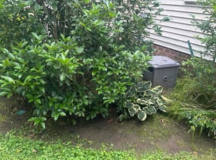 Weeding by Justin Norris for Kevin L. in Chesapeake, VA