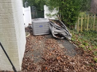 Leaf Removal by Miguel Santos for Lisa M. in Bethesda, MD