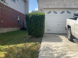 Bush Trimming by Bradley Matthiesen for Naomi C. in San Antonio, TX
