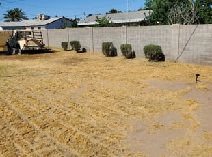 Bush Trimming by Damian Hudson for Karen M. in Glendale, AZ