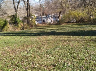 Leaf Removal by Julio Almestica for Kari F. in Kansas City, MO