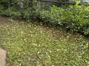 Leaf Removal by Tevin Richardson for Austin S. in Columbus, OH