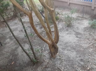 Cleanups by Linda Jones for Brian D. in Spring, TX