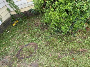 Weeding by Amanda Carter for Nikkii R. in Clayton, NC