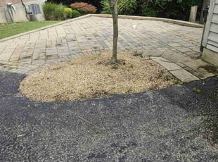 Weeding by Nicholas Weber for Alexandra T. in West Chester Township, OH
