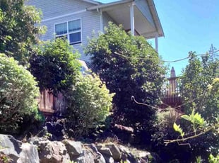 Bush Trimming by William Bannan for Matt D. in Lake Stevens, WA