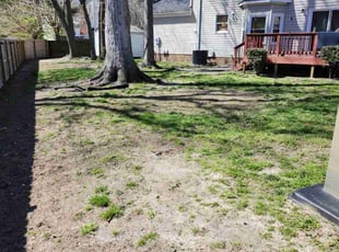 Leaf Removal by Damon Thomas for Garrett H. in Hampton, VA