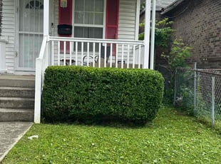 Bush Trimming by Kasandra Mazariegos Escobar for Ryan P. in Louisville, KY