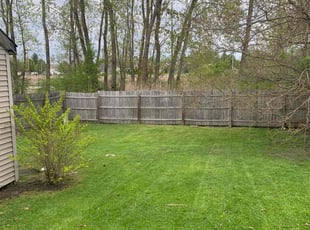 Austin B.'s Yard Cutting service result