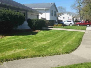 Dave M.'s Lawn Care service result