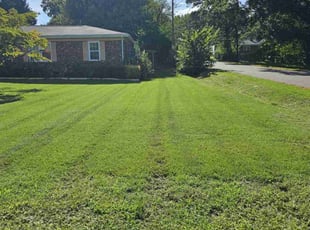 Kevin O.'s Lawn Care service result