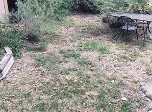 Cleanups by Chaes Pate for Debby S. in San Antonio, TX