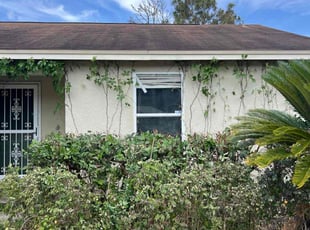 Bush Trimming by Daniel Gonzalez for Tim C. in Lakeland, FL