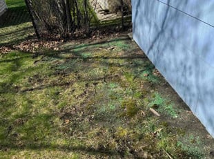 Aeration by Kahlil Barney for Vincent C. in Tonawanda, NY