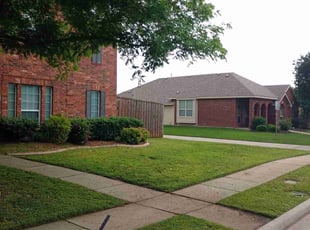 Holly L.'s Lawn Mowing service result