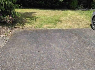 Leaf Removal by Nicholas Inlow for Adam D. in Bellevue, WA