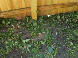 Cleanups by Jalen Barbee for Sera K. in Birmingham, MI