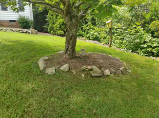 Weeding by Brandon Ansell for Samuel R. in Wake Forest, NC