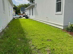 Weeding by Jeffrey Scanlan for Evelyn S. in Baton Rouge, LA