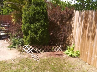 Cleanups by Laren Hardy for Thomas R. in Waterbury, CT