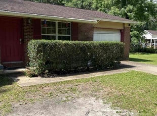 Bush Trimming by Terrain Lewis for Summer S. in Tallahassee, FL