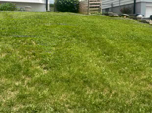 Weeding by Sunny Poydras for Patricia C. in Omaha, NE