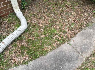 Weeding by Brandon McGee for Kelly G. in Inman, SC