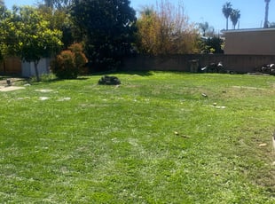 Leaf Removal by Michael Sepulveda for Erin D. in Spring Valley, CA