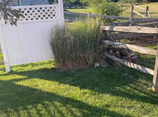 Bush Trimming by Trey Johnson for Marla V. in Loveland, OH