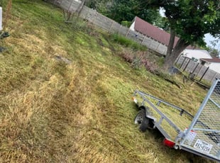 Cleanups by Robert Goolsby for Teresa P. in Farmersville, TX