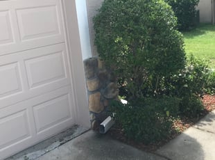 Bush Trimming by Brian Lienhart for Caroline G. in Land O' Lakes, FL