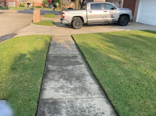 Weeding by Jose Rodriguez for Nicolette D. in Carrollton, TX