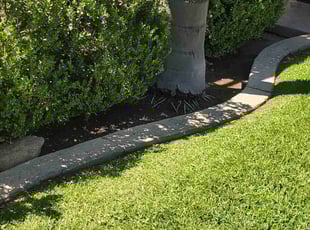 Weeding by Antonio Ruiz for Joseph R. in Rialto, CA
