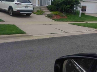 Weeding by Christopher Rhyne for Saurabh R. in Verona, WI