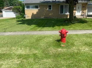 Wayne E.'s Lawn Mowing Service service result
