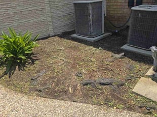 Cleanups by Toni Singsonexay for Roger G. in San Antonio, TX