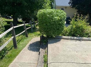 Bush Trimming by Anibal Negron Jr for Patricia R. in Bethlehem, PA