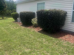 Bush Trimming by Marco Garcia for Frank H. in Myrtle Beach, SC