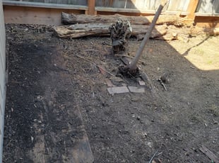 Cleanups by Jack Catlin for Adam A. in Stockton, CA