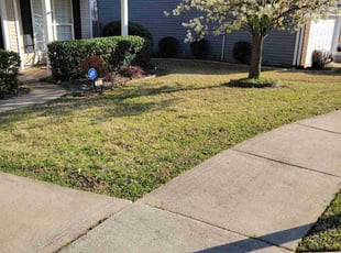 Miguel M.'s Lawn Mowing Service service result