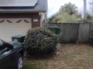 Bush Trimming by Robert Williams for Annelise L. in Jacksonville, FL