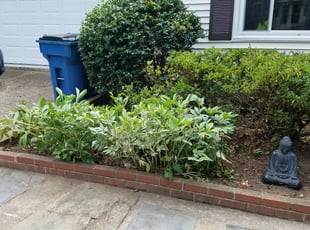 Bush Trimming by Hugo Portillo for Traci T. in Springfield, VA