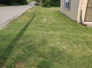 Ronald E.'s Lawn Mowing Service service result