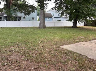 Leaf Removal by John Morrisroe for korrey m. in Virginia Beach, VA